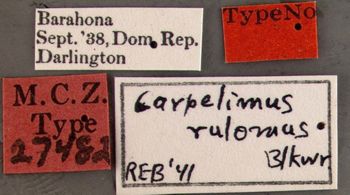 Media type: image;   Entomology 27482 Aspect: labels